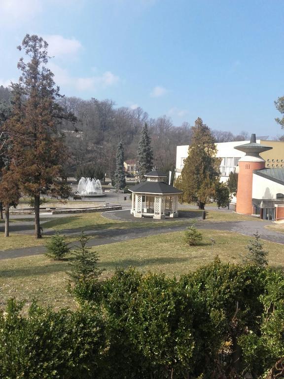 Apartmani Radulovic Vrnjačka Banja Extérieur photo